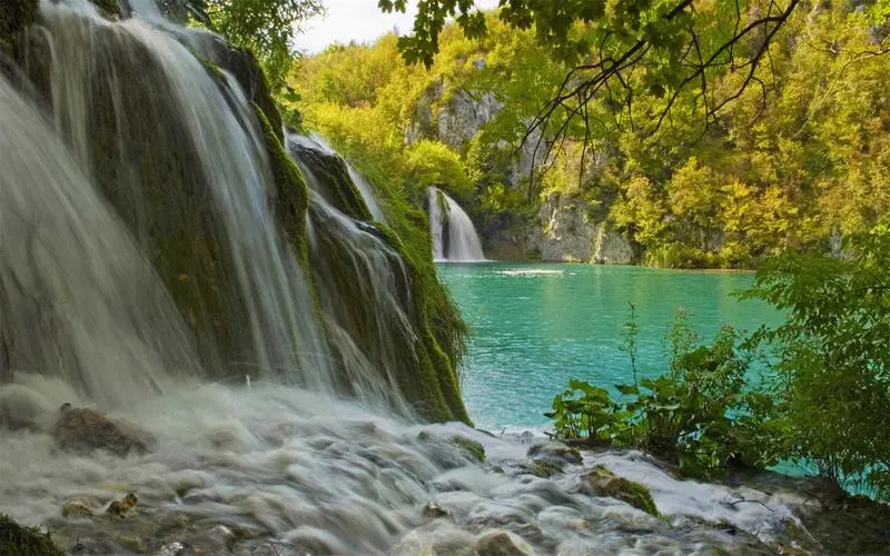 绿色创意智能
